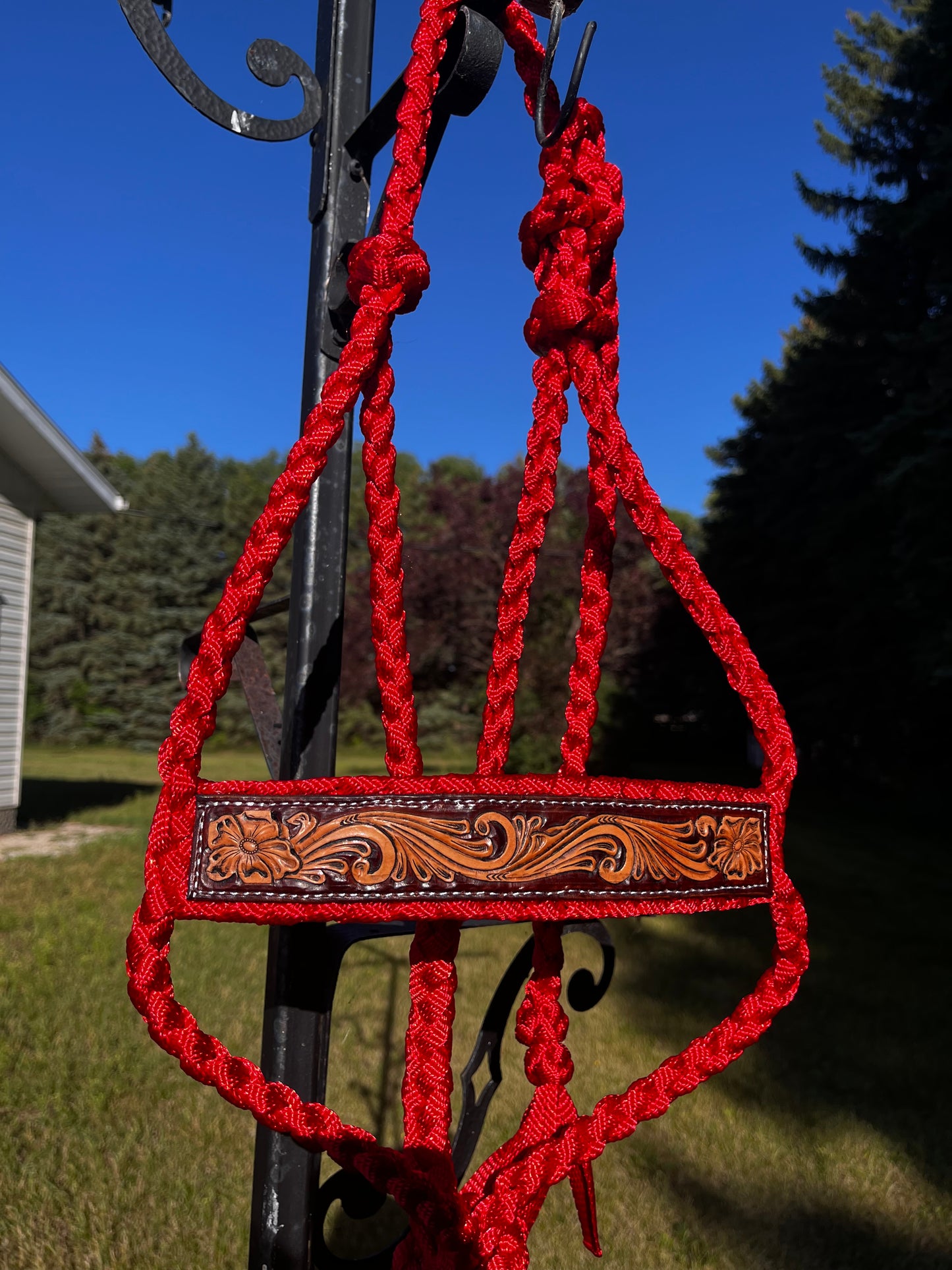 Muletape Halter w/ tooled noseband